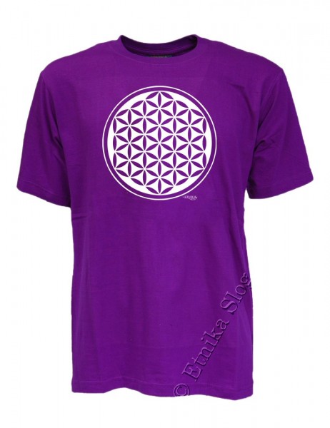 MEN'S COTTON T-SHIRT - UNICOLOR WITH PRINT T-SHIRT IN COTTON PLAIN COLOUR WHIT PRINT.AV - com Etnika Slog d.o.o.