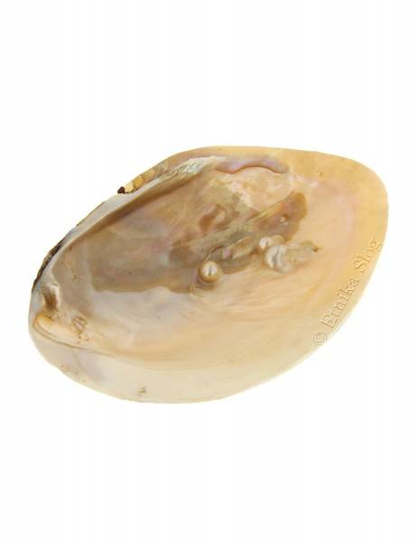 INCENSE HOLDER FROM BAMBOO AND RESIN SHELL INCENSE HOLDER FOR PALO SANTO AND WHITE SAGE - com Etnika Slog d.o.o.